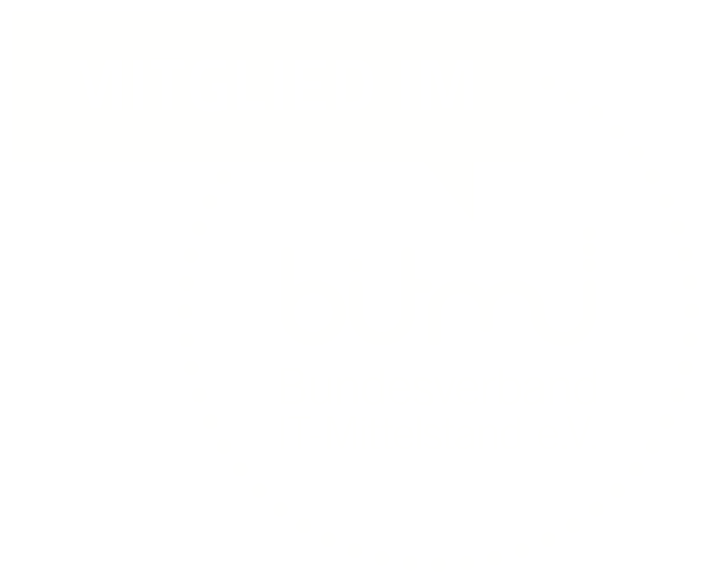 Mitglied im BITMi Logo